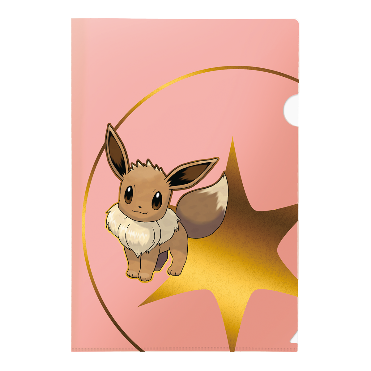 Pokémon Tournament Folios 3 Pack - Psyduck, Eevee, and Dragonite | Nexcstoioe